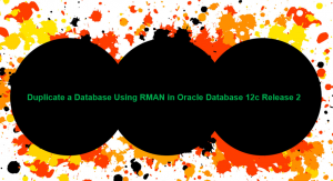 database duplicate rman