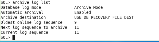 ora-00257 errore di archiviazione. connect rrnner only fino a quando non viene liberato. 11g