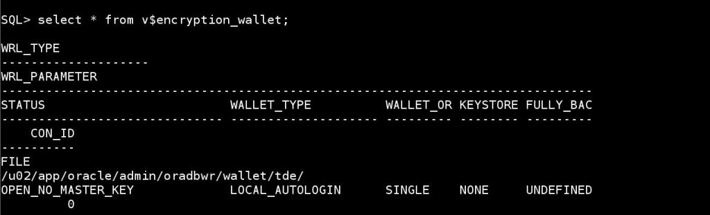 Configuring Transparent Data Encryption In Oracle 19c Database | Oracledbwr