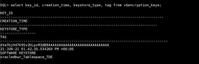 Configuring Transparent Data Encryption In Oracle 19c Database | Oracledbwr