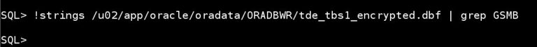 Configuring Transparent Data Encryption In Oracle 19c Database | Oracledbwr